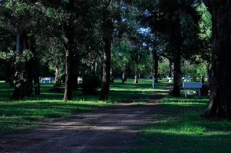 Foto de Camping Los Tilos - Colón en Familiar Los Tilos,Colón,Entre Ríos