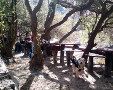 Camping Cerro Uritorco San Rafael - Capilla del Monte