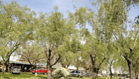 Camping Club de Pescadores - Junín