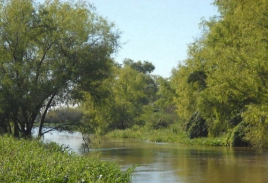 Camping Costa Sur - San Javier