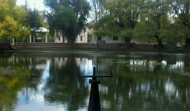 Camping De Saujil - Tinogasta