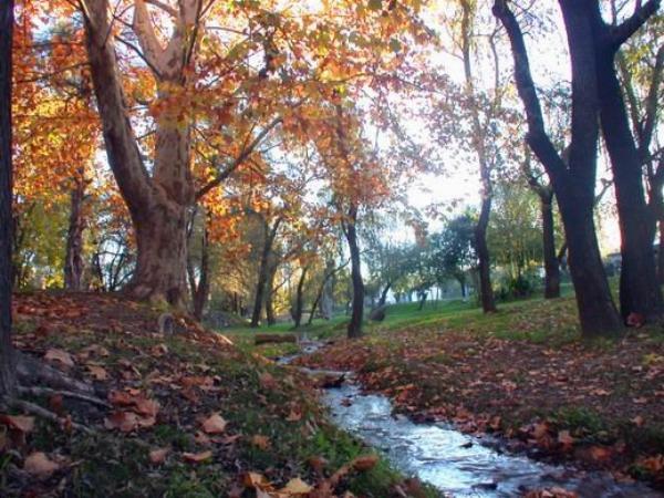 Foto de Camping APA 2 - Las Rabonas en APA 2,Las Rabonas,Córdoba