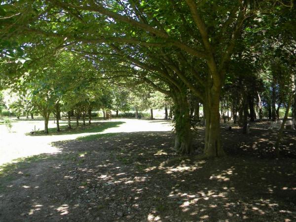 Foto de Camping Arroyo Doll - Las Cuevas en Arroyo Doll,Las Cuevas,Entre Ríos