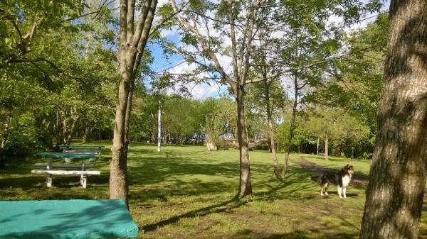 Foto de Camping Bahía - Punta Lara en Bahía,Punta Lara,Buenos Aires