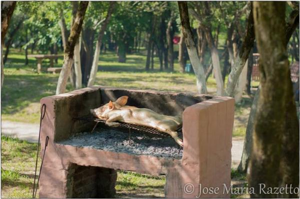 Foto de Camping Balneario Municipal Dr. Delio Panizza - Rosario del Tala en Balneario Municipal Dr. Delio Panizza,Rosario del Tala,Entre Ríos