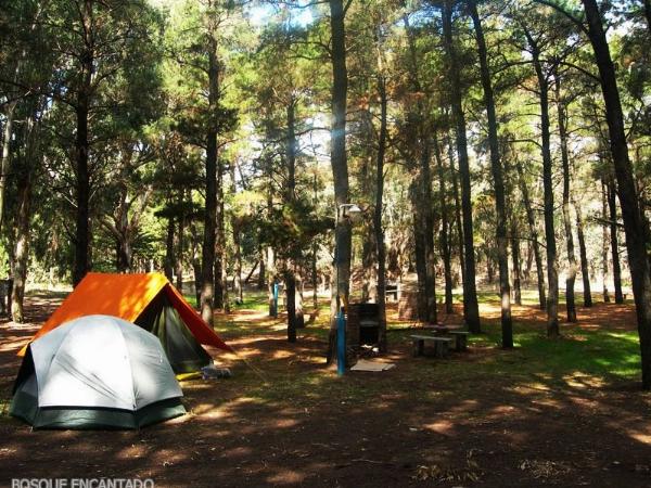 Foto de Camping Bosque Encantado - Pehuen Có en Bosque Encantado,Pehuen Có,Buenos Aires
