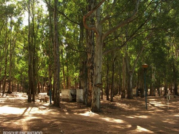 Foto de Camping Bosque Encantado - Pehuen Có en Bosque Encantado,Pehuen Có,Buenos Aires