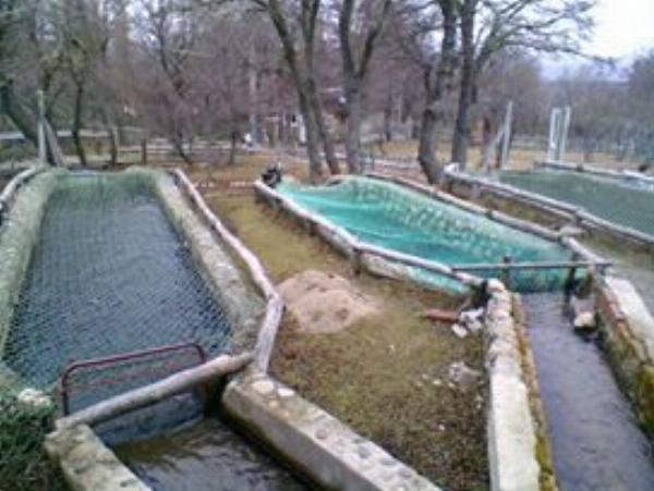 Foto de Camping Chimen Aike - Río Pico en Chimen Aike,Río Pico,Chubut