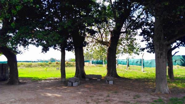 Foto de Camping Euli - El Naranjo en Euli,El Naranjo,Salta