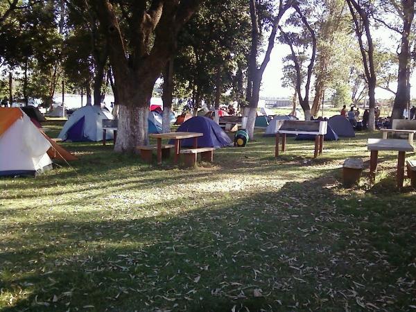 Foto de Camping Club de Pesca - Concordia en Club de Pesca,Concordia,Entre Ríos