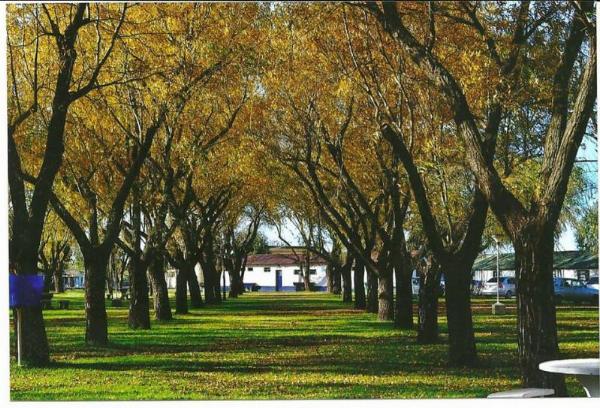 Foto de Camping Club de Pescadores - Junín en Club de Pescadores,Junín,Buenos Aires
