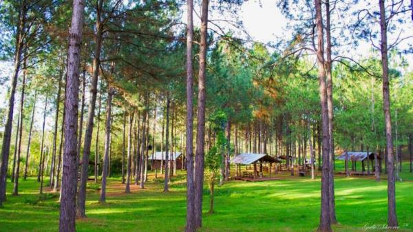 Foto de Camping Copacabana - Eldorado en Complejo Copacabana, Ruta Nacional 12, Eldorado, Misiones, Argentina