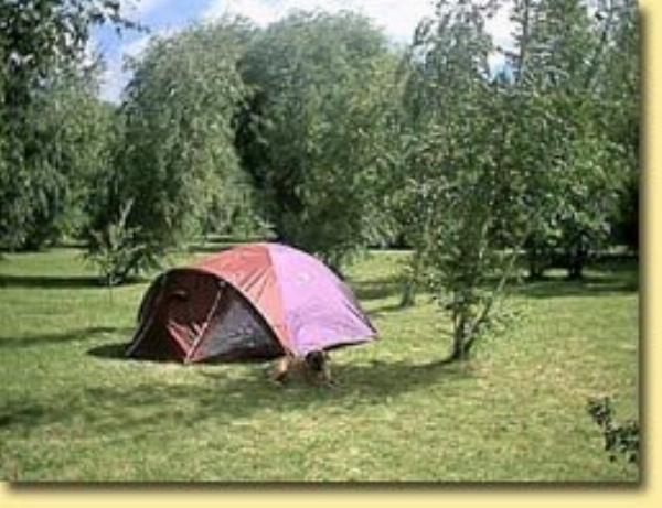 Foto de Camping Del Paralelo - Lago Puelo en Del Paralelo,Lago Puelo,Chubut