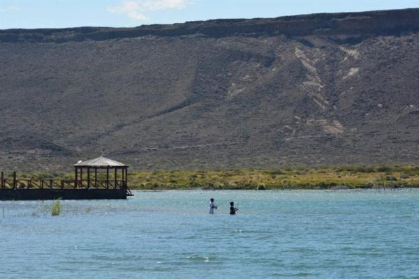 Foto de Camping Del Perilago - Piedra Del Águila en Del Perilago,Piedra Del Águila,Neuquén