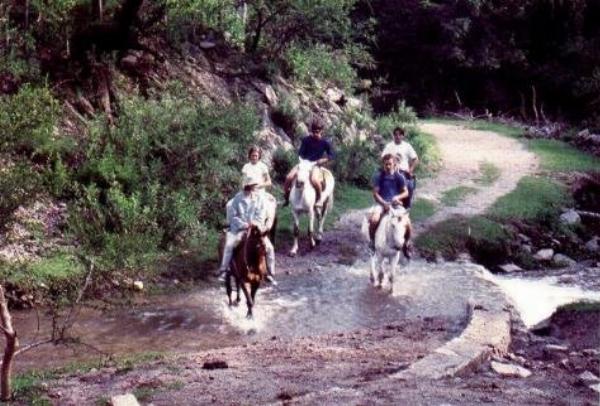 Foto de Camping Don Goyo - Potrero de los Funes en Don Goyo,Potrero de los Funes,San Luis