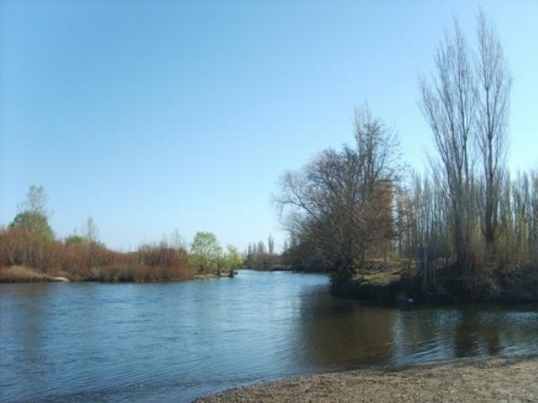 Foto de Camping El Cisne - Senillosa en El Cisne,Senillosa,Neuquén