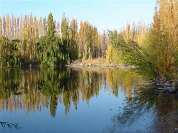 Foto de Camping El Cisne - Senillosa en El Cisne,Senillosa,Neuquén