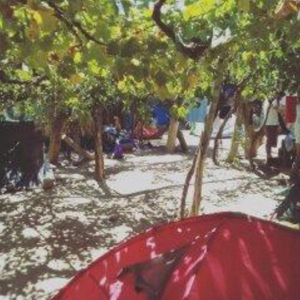 Foto de Camping El Rafa - Cafayate en El Rafa,Cafayate,Salta