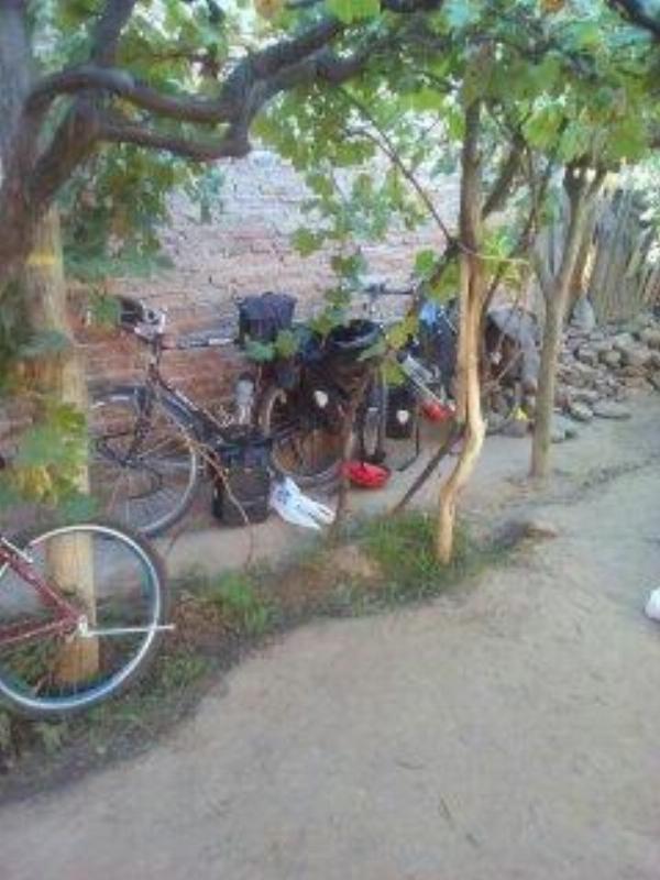 Foto de Camping El Rafa - Cafayate en El Rafa,Cafayate,Salta