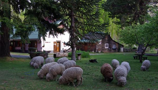 Foto de Camping El Refugio del Lago - Epuyén en El Refugio del Lago,Epuyén,Chubut