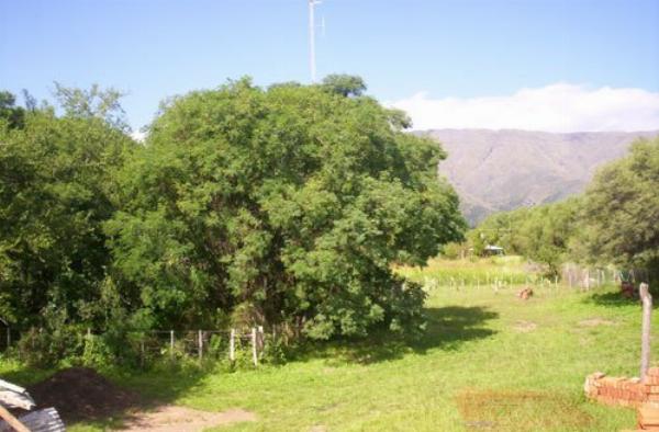 Foto de Camping El Refugio - La Paz en El Refugio,La Paz,Córdoba