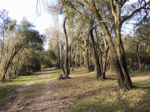Foto de Camping El Soñado - Gualeguaychú en El Soñado,Gualeguaychú,Entre Ríos