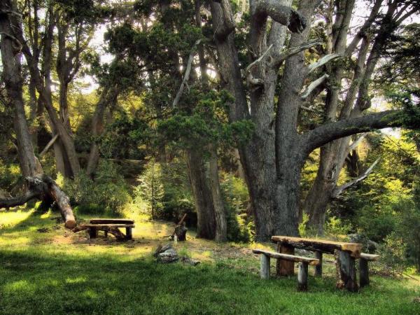 Foto de Camping El Vado de Pancho - Lago Meliquina en El Vado de Pancho,Lago Meliquina,Neuquén