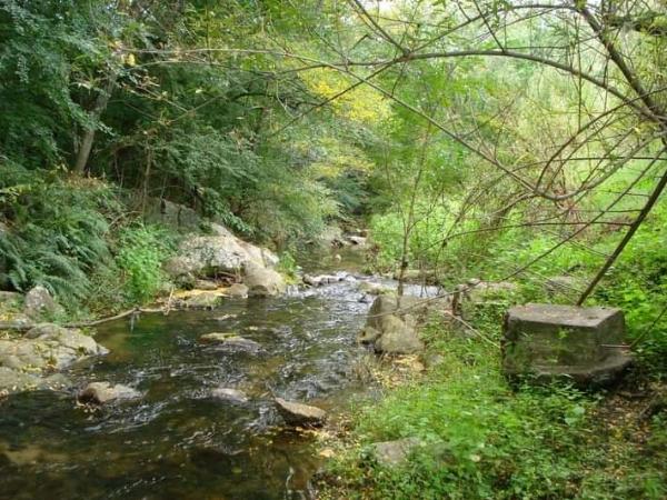 Foto de Camping Estancia La Victoria - El Durazno en Estancia La Victoria,El Durazno,Córdoba
