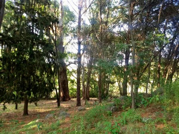 Foto de Camping Estancia La Victoria - El Durazno en Estancia La Victoria,El Durazno,Córdoba