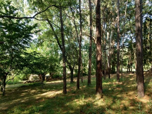 Foto de Camping Estancia La Victoria - El Durazno en Estancia La Victoria,El Durazno,Córdoba