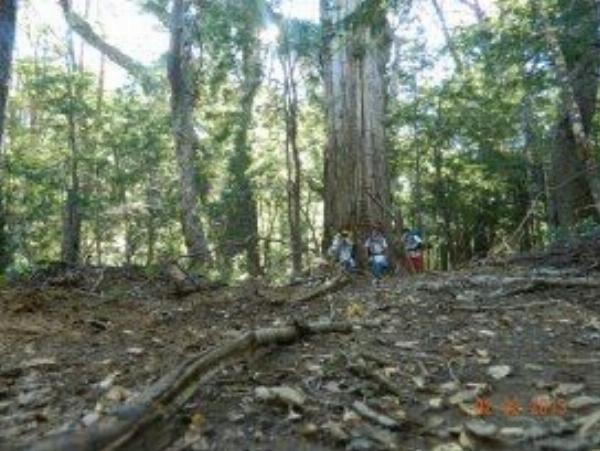 Foto de Camping La Cascada - El Bolsón en La Cascada,El Bolsón,Río Negro