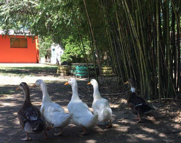 Foto de Camping La Granja - Santa Rosa de Calamuchita en La Granja,Santa Rosa de Calamuchita,Córdoba