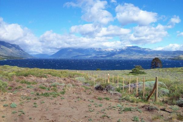 Foto de Camping Lafquenco - Lago Huechulafquen en Lafquenco,Lago Huechulafquen,Neuquén