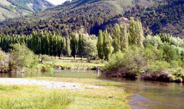 Foto de Camping Lago Filo Hua Hum - Lago Filo Hua Hum en Lago Filo Hua Hum,Lago Filo Hua Hum,Neuquén