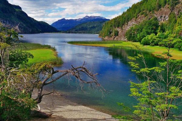 Foto de Camping Lago Verde Agreste - Parque Nacional Los Alerces en Lago Verde Agreste,Parque Nacional Los Alerces,Chubut