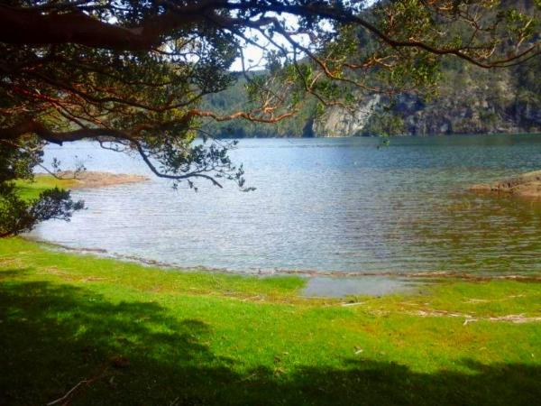 Foto de Camping Lago Verde Agreste - Parque Nacional Los Alerces en Lago Verde Agreste,Parque Nacional Los Alerces,Chubut
