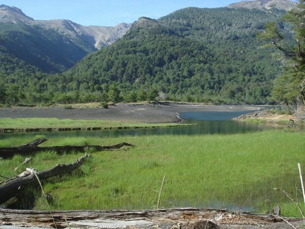 Foto de Camping Laguna Verde - Lago Curruhué en Laguna Verde,Lago Curruhué,Neuquén