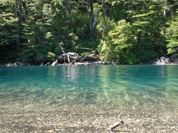 Foto de Camping Laguna Verde - Lago Curruhué en Laguna Verde,Lago Curruhué,Neuquén