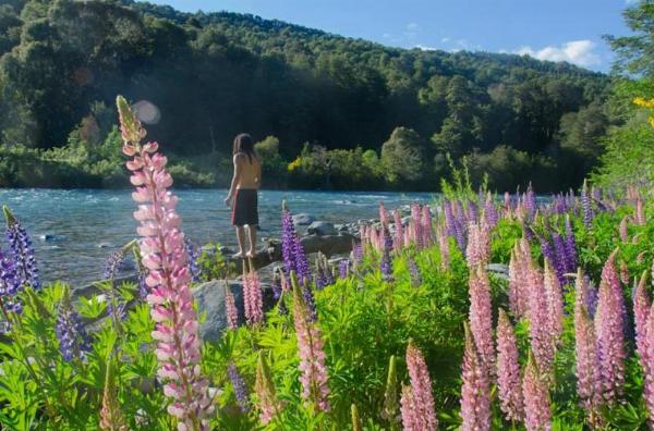 Foto de Camping Los Alerces - El Bolsón en Los Alerces,El Bolsón,Río Negro
