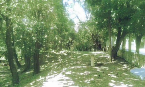 Foto de Camping Los Guancú - El Volcán en Los Guancú,El Volcán,San Luis
