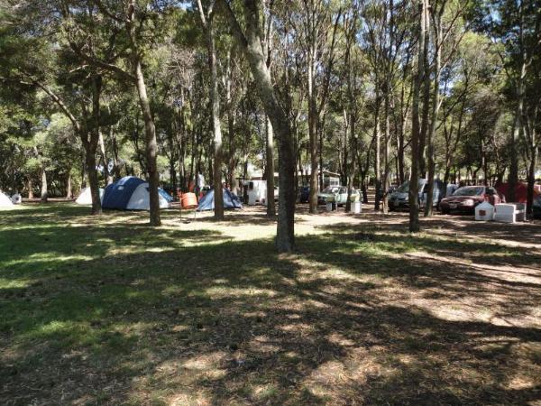 Foto de Camping LOS HORNEROS - Mar del Plata en LOS HORNEROS,Mar del Plata,Buenos Aires