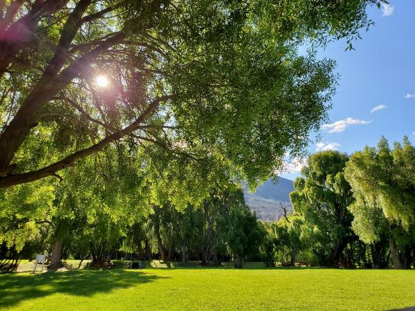 Foto de Camping Los Maitenes - Parque Nacional Los Alerces en Camping Los Maitenes, Chubut, Argentina
