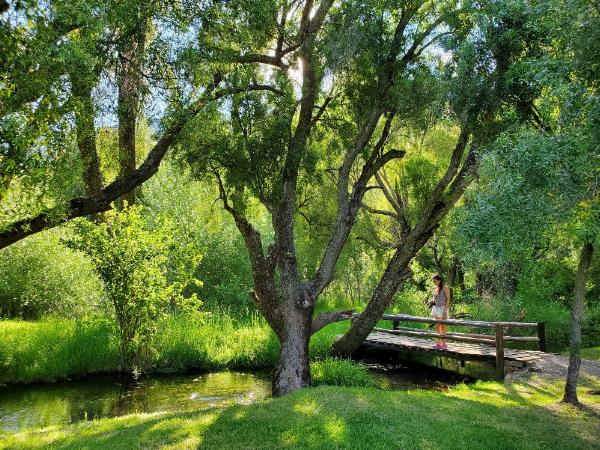 Foto de Camping Los Maitenes - Parque Nacional Los Alerces en Camping Los Maitenes, Chubut, Argentina
