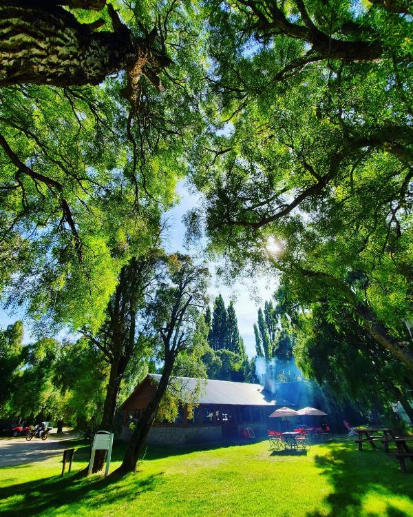 Foto de Camping Los Maitenes - Parque Nacional Los Alerces en Camping Los Maitenes, Chubut, Argentina