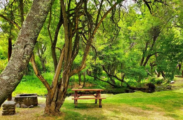 Foto de Camping Los Maitenes - Parque Nacional Los Alerces en Camping Los Maitenes, Chubut, Argentina