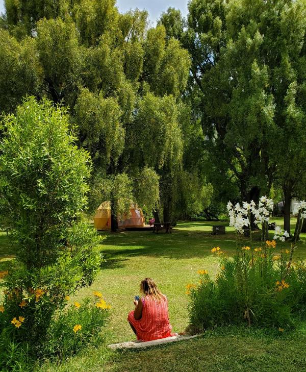 Foto de Camping Los Maitenes - Parque Nacional Los Alerces en Camping Los Maitenes, Chubut, Argentina