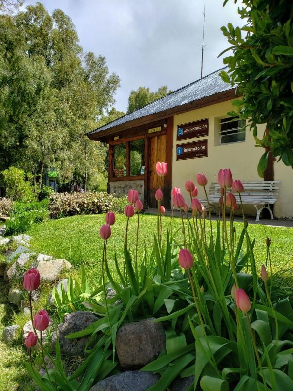 Foto de Camping Los Maitenes - Parque Nacional Los Alerces en Camping Los Maitenes, Chubut, Argentina