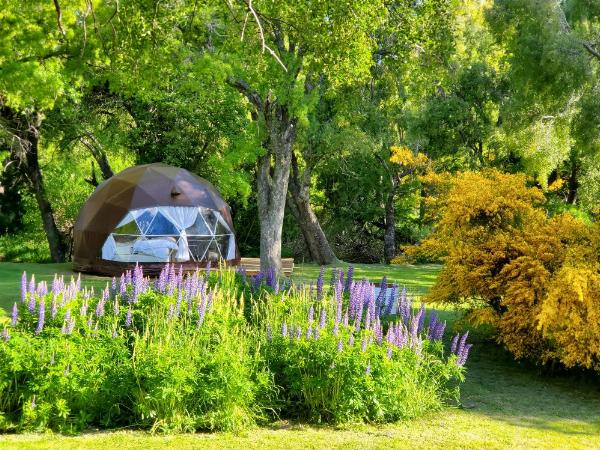 Foto de Camping Los Maitenes - Parque Nacional Los Alerces en Camping Los Maitenes, Chubut, Argentina