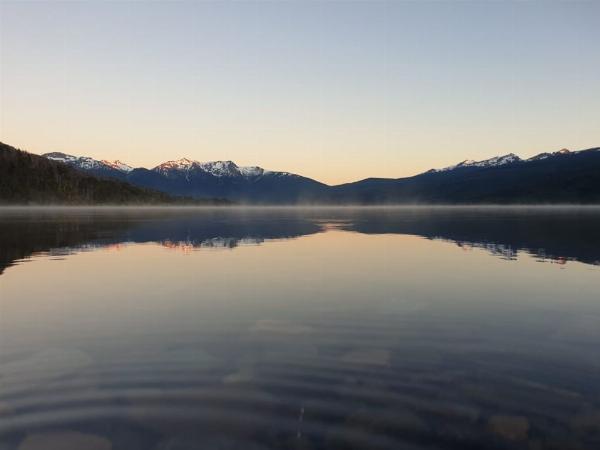 Foto de Camping Los Maitenes - Parque Nacional Los Alerces en Camping Los Maitenes, Chubut, Argentina