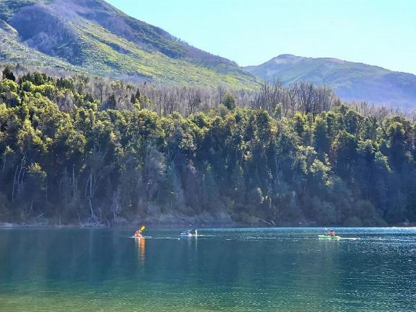 Foto de Camping Los Maitenes - Parque Nacional Los Alerces en Camping Los Maitenes, Chubut, Argentina